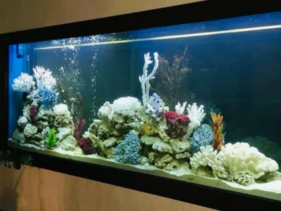 AquaPro Aquarium Service Picture 7