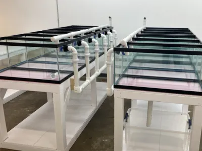 AquaPro Aquarium Service Picture 6