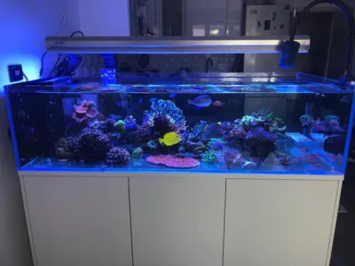 AquaPro Aquarium Service Picture 2