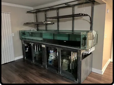 AquaPro Aquarium Service Picture 3