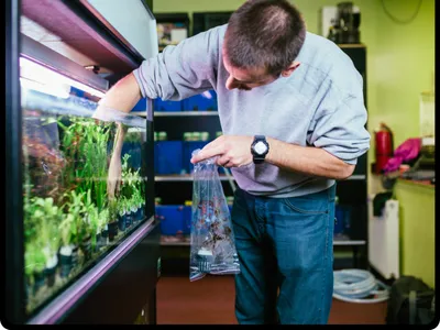 AquaPro Aquarium Service Picture 10