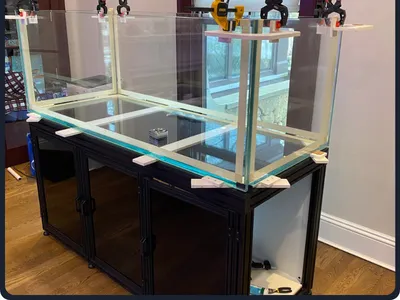 AquaPro Aquarium Service Picture 9