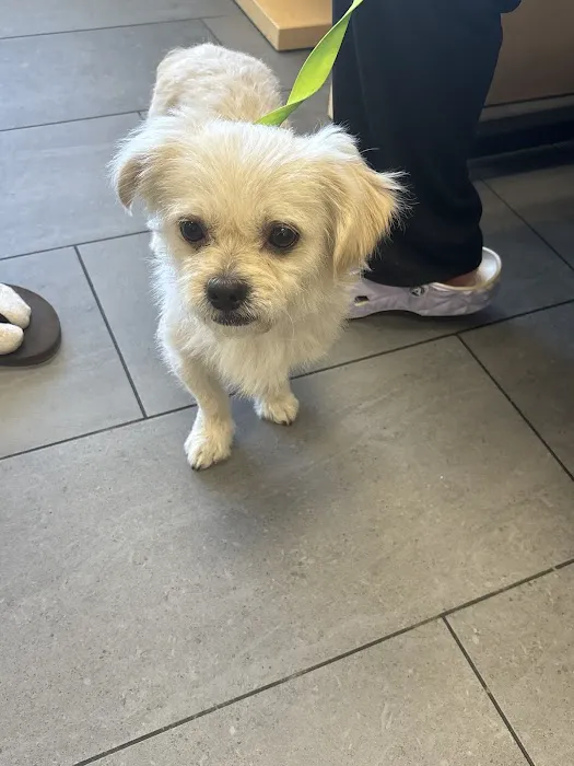 Banfield Pet Hospital Picture 5