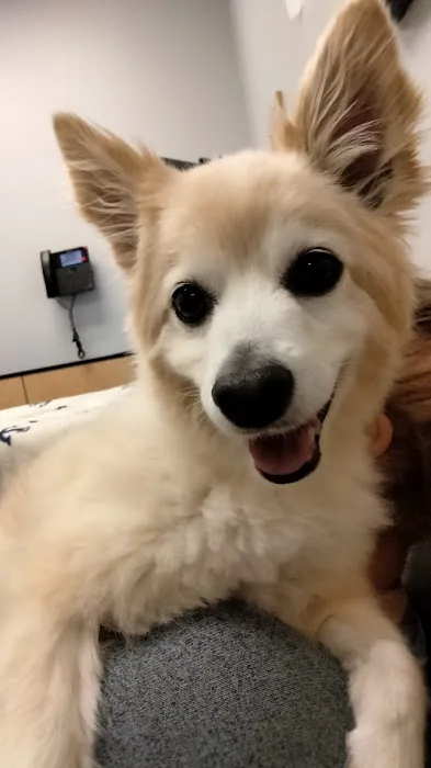 Banfield Pet Hospital Picture 1