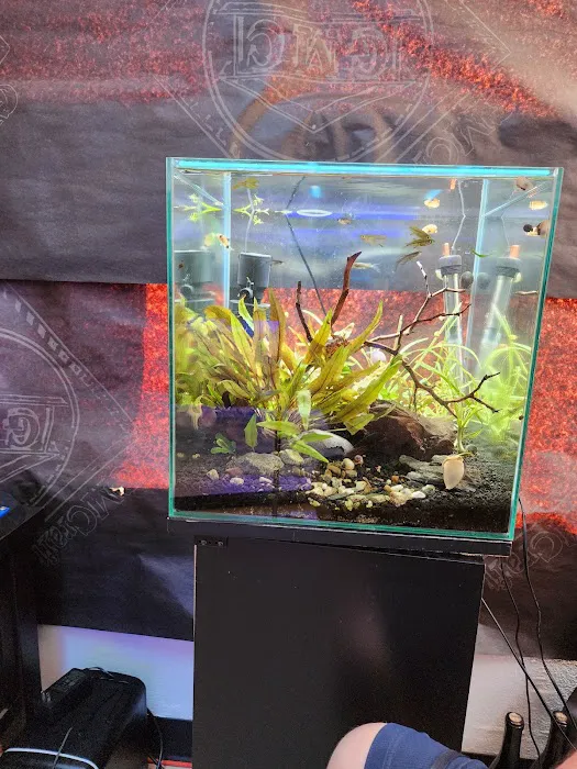 The Coral Enclave Picture 2