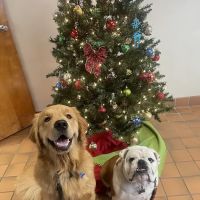 Norwalk Veterinary Hospital and The Boarding House ico