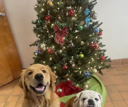Norwalk Veterinary Hospital and The Boarding House