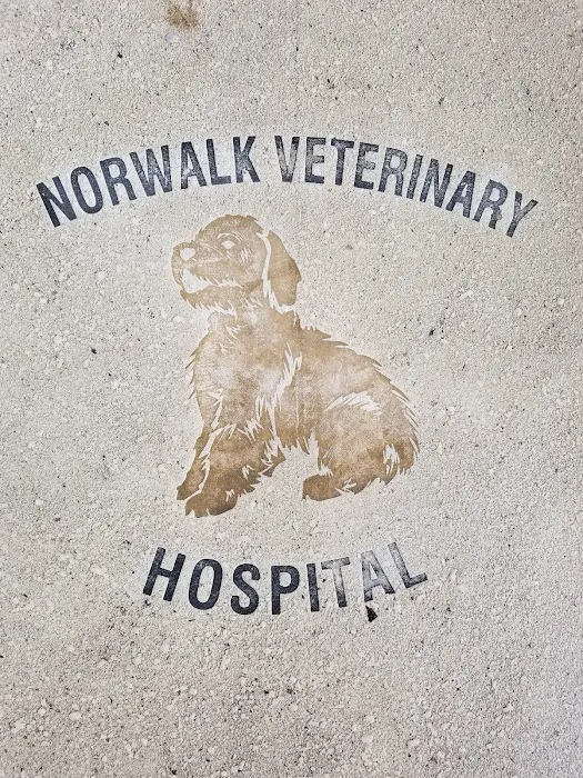 Norwalk Veterinary Hospital and The Boarding House Picture 9