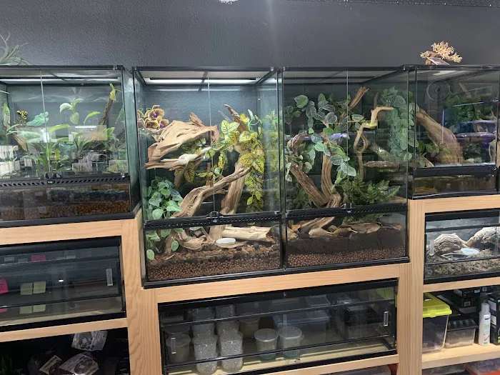 Exotic Life Fish & Reptiles Picture 4