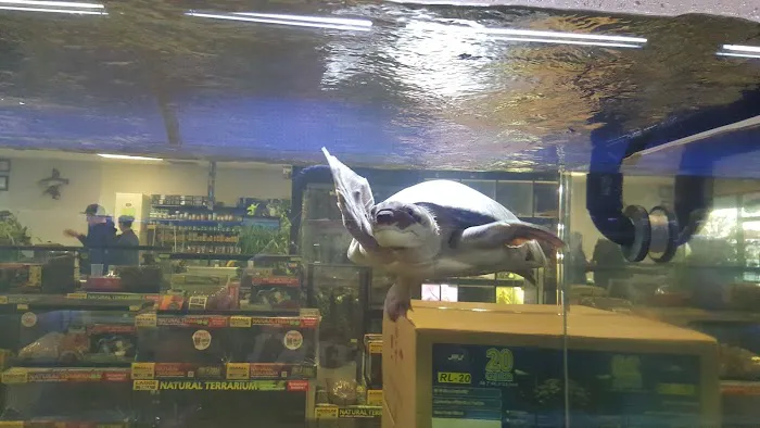 Exotic Life Fish & Reptiles Picture 3