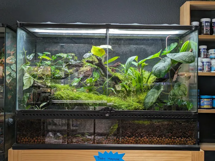 Exotic Life Fish & Reptiles Picture 10