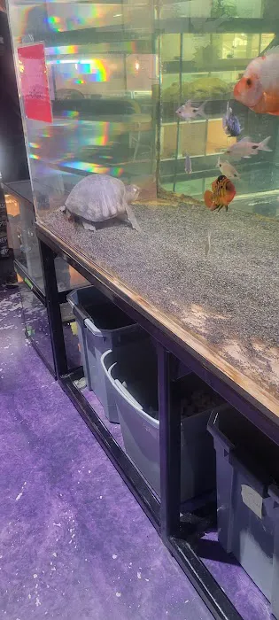 Exotic Life Fish & Reptiles Picture 6