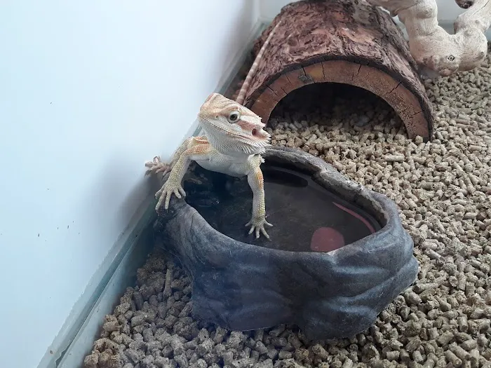 Exotic Life Fish & Reptiles Picture 9