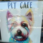Pet Cafe