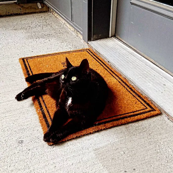 VCA Veterinary Referral and Emergency Center Picture 6
