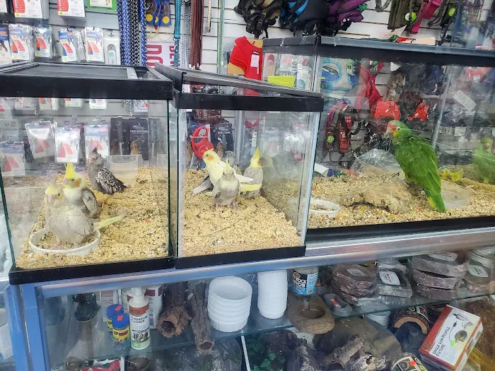 Abe's Pet Place Picture 6