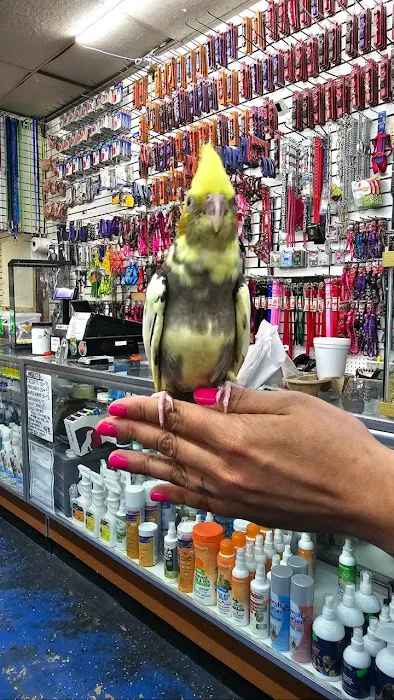 Abe's Pet Place Picture 2