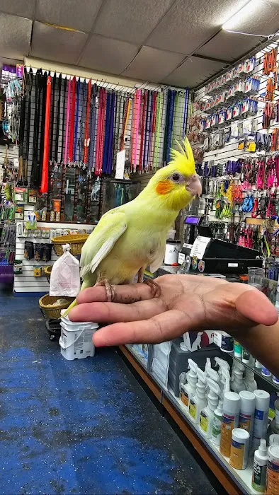 Abe's Pet Place Picture 8