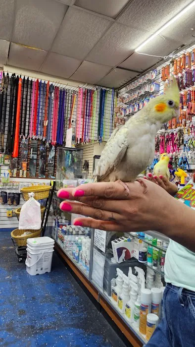 Abe's Pet Place Picture 4