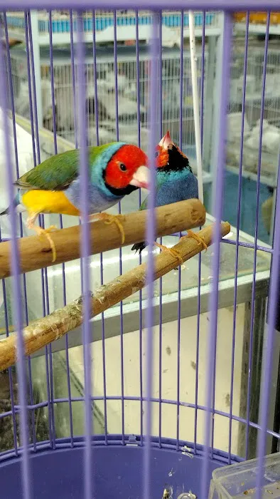 Abe's Pet Place Picture 5
