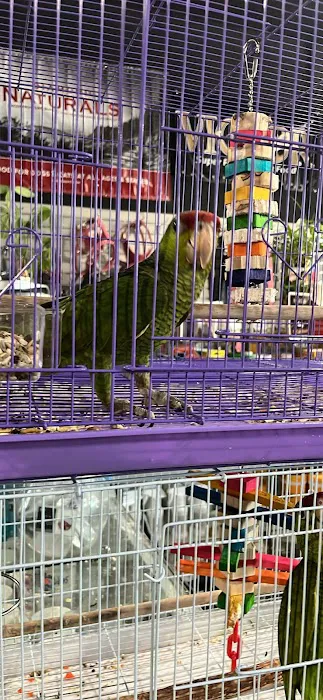 On the go pet supply Picture 4
