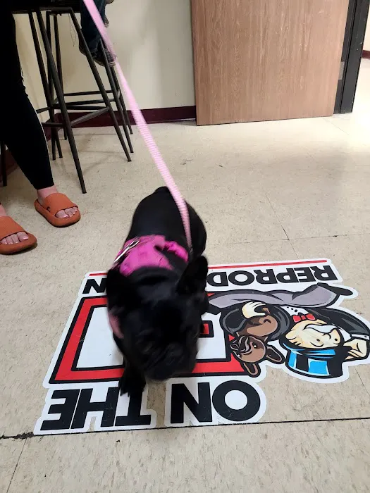 On the go pet supply Picture 8
