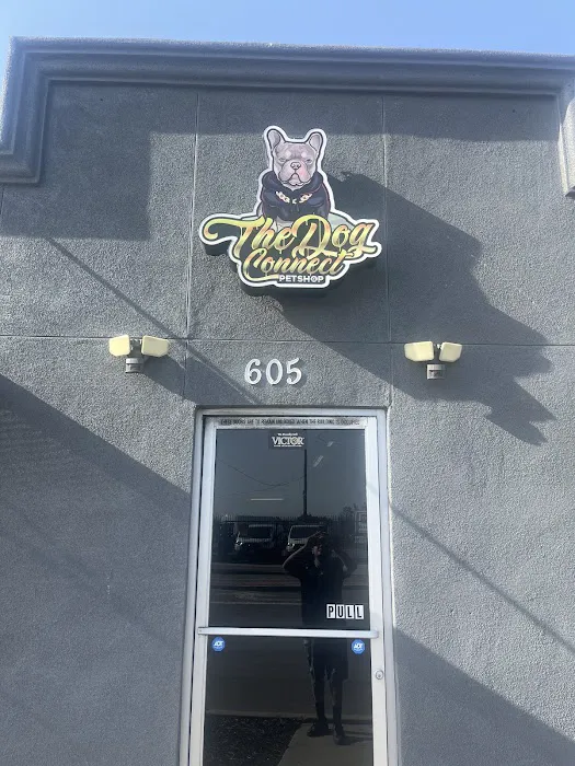 The dog connect pet shop Picture 3