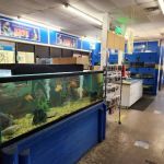 Elliott's Pet Emporium