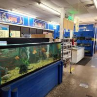 Elliott's Pet Emporium ico