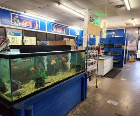 Elliott's Pet Emporium