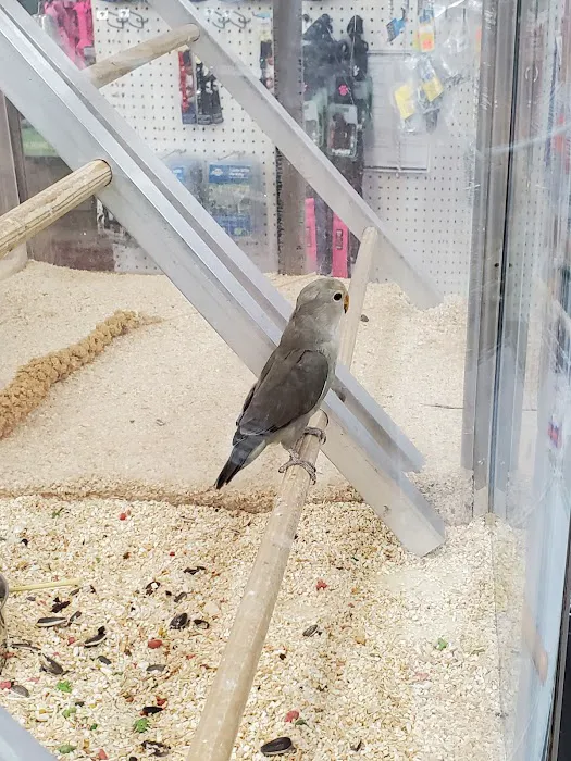 Elliott's Pet Emporium Picture 9