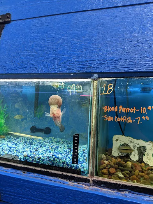 Elliott's Pet Emporium Picture 7