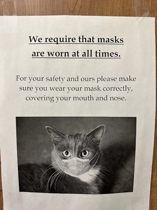 A Cat's Place Picture 5