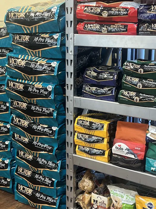 Bullyz Pet Supply Picture 1
