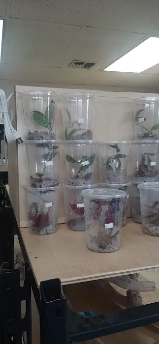 REPTILE FACTORY Picture 2