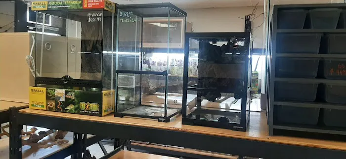REPTILE FACTORY Picture 5