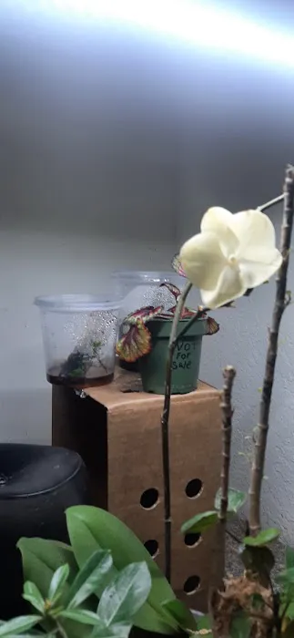 REPTILE FACTORY Picture 4