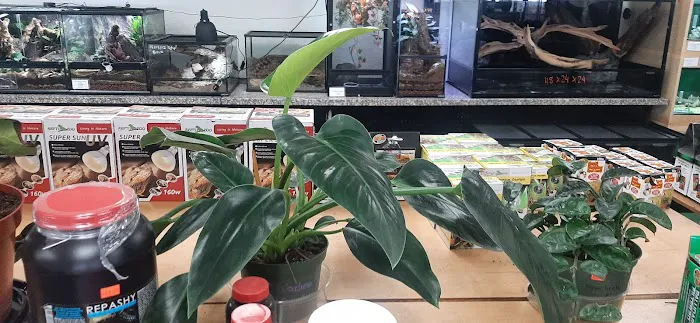REPTILE FACTORY Picture 3
