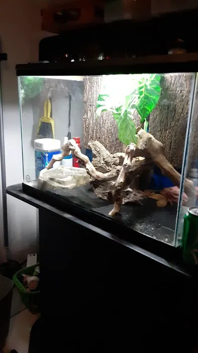 REPTILE FACTORY Picture 8