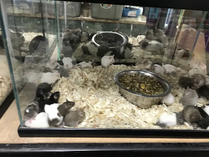 Elliotts For Pets Picture 7