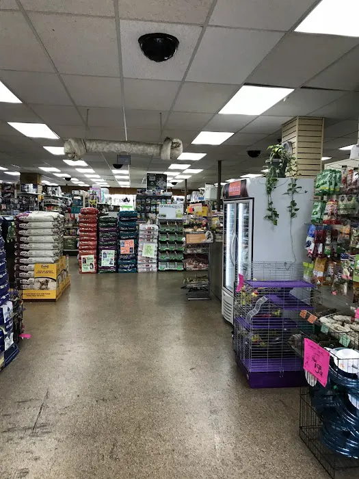 Elliotts For Pets Picture 5