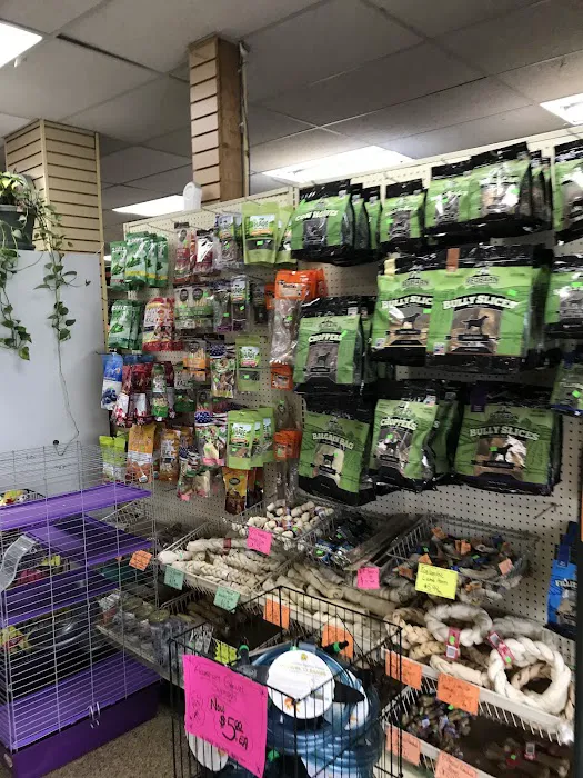 Elliotts For Pets Picture 6
