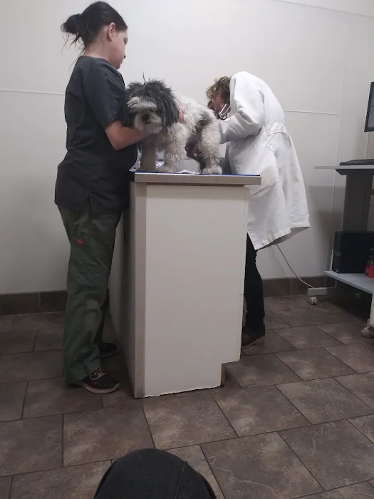 Strawberry Hill Animal Hospital Picture 8