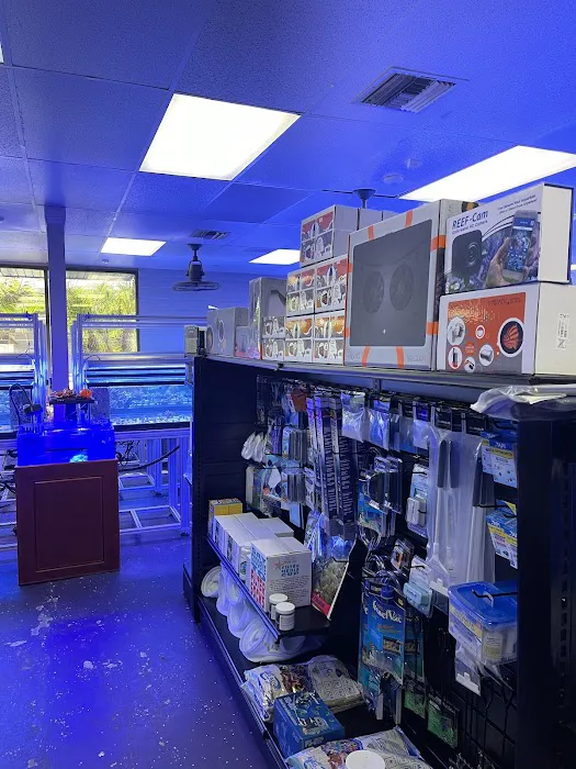 Law Office Aquariums Picture 6