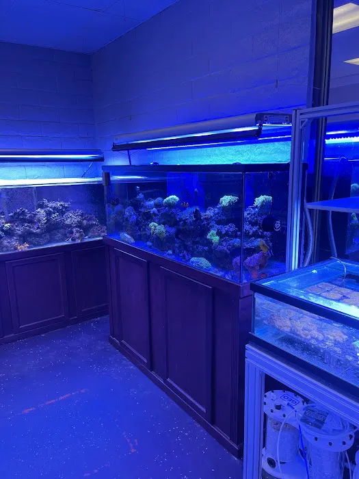 Law Office Aquariums Picture 7