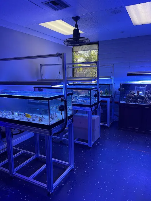Law Office Aquariums Picture 10