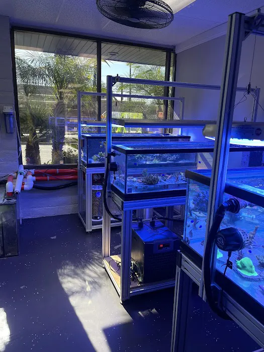Law Office Aquariums Picture 5
