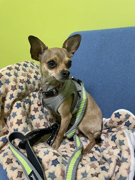 Value Pet Vet Picture 10