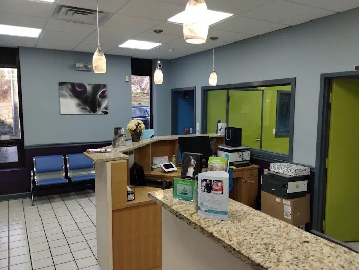 Value Pet Vet Picture 2
