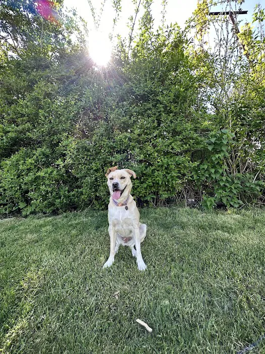 Value Pet Vet Picture 8